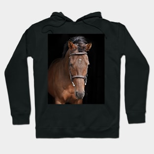 Mousquetaire Hoodie